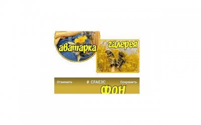 处座男对有好感的女生表现