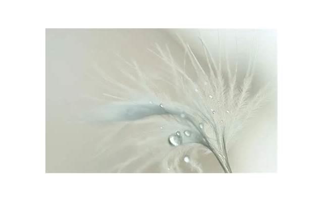 女生答应和你一起吃饭意味着什么 女生答应和你一起吃饭意味着什么