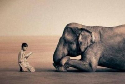 ​秋天的奶茶 梗