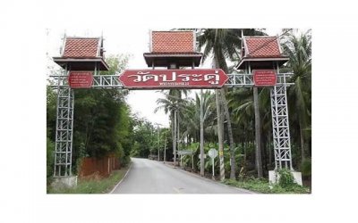 800字写给女朋友的情书(800字写给女朋友的情书异地恋)