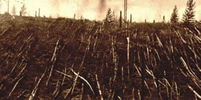 零下30度的东北集市看到这只乌龟别怀疑这就是东北