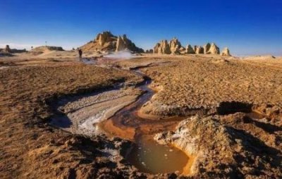 ​很多的名贵香水竟然是使用动物们的粪便调制而成的是怎