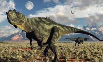 ​双角龙：角龙亚科恐龙的一属生活在白垩纪的脊椎动物