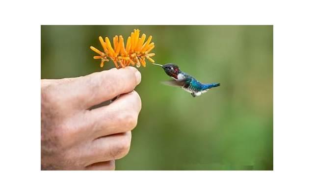 小舅子很有钱看不起我怎么办:少来往 小舅子很有钱看不起我怎么办:少来往