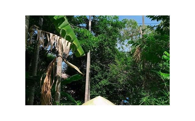 第一次接吻怎么做 怎么接吻抹胸 第一次接吻怎么做 怎么接吻抹胸