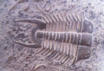 ​注射奥美定隆胸对身体有害处,女人丰胸开刀手术