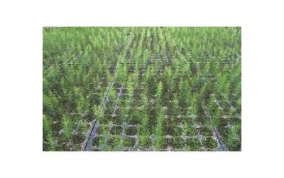 第一次约会怎么避免尴尬(初次约会怎么才能不尴尬)