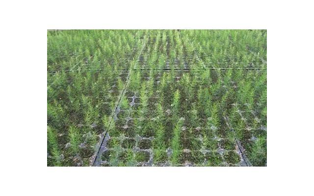 第一次约会怎么避免尴尬(初次约会怎么才能不尴尬) 第一次约会怎么避免尴尬(初次约会怎么才能不尴尬)