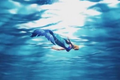 ​哪个是世界面积最大热带雨林