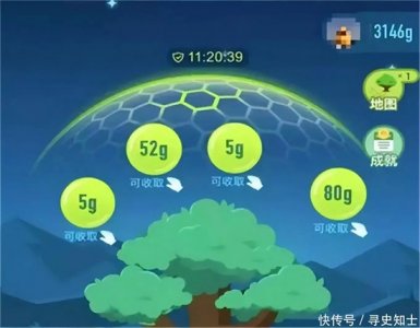 ​6年前马云承诺：蚂蚁森林每年种1亿棵树，如今结果如何