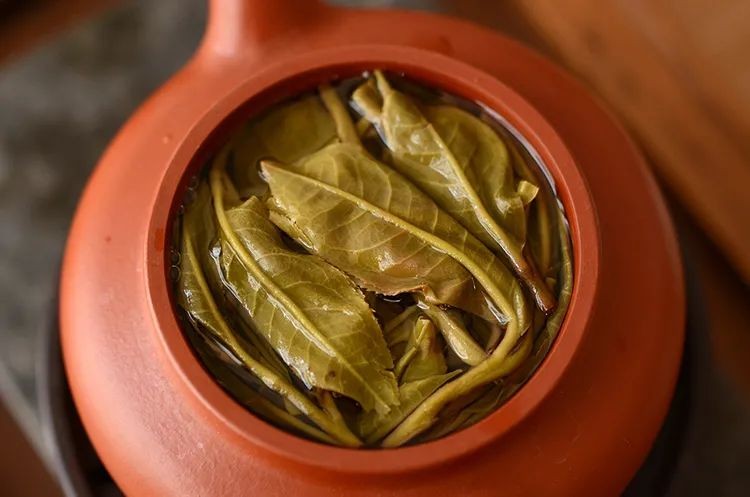 白莺山古树茶特点(花蜜香清香独绝越喝越通透)