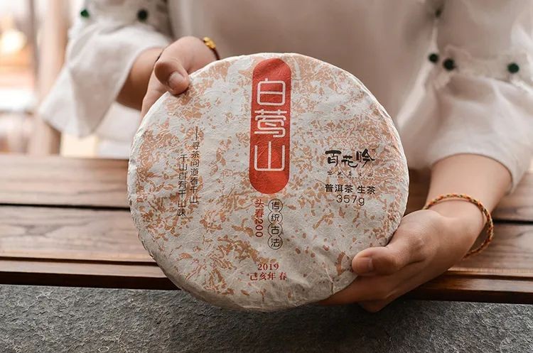 白莺山古树茶特点(花蜜香清香独绝越喝越通透)