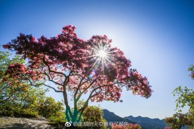 ​坡峰岭景区是京郊最负盛名的风光休闲度假目的地之一