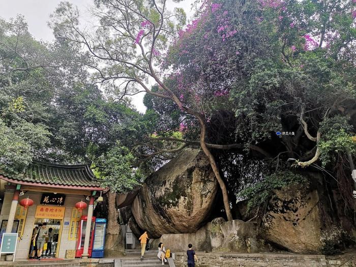 福建有座千年古寺 有着中国最早的佛学院 免门票还免费赠香