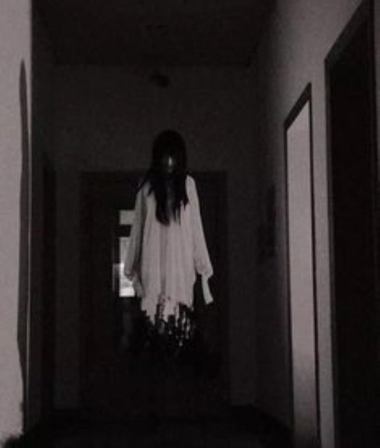 我身边关于动物的三个灵异事件作文,灵异事件簿大全