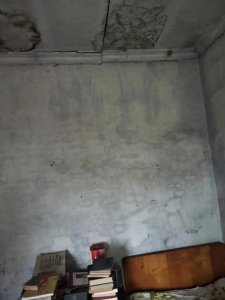 我身边关于动物的三个灵异事件作文,灵异事件簿大全