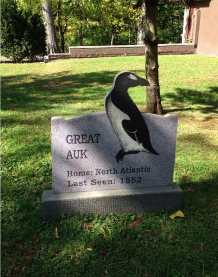 18世纪灭绝的动物,已灭绝的动物留下的珍贵影像