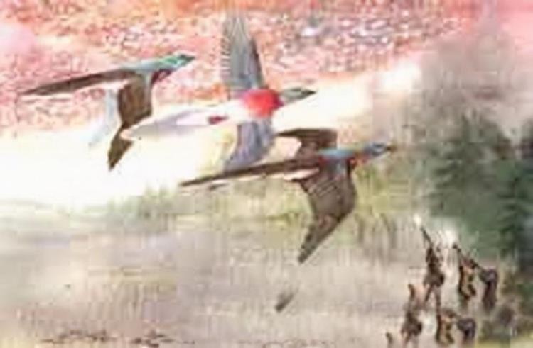 18世纪灭绝的动物,已灭绝的动物留下的珍贵影像