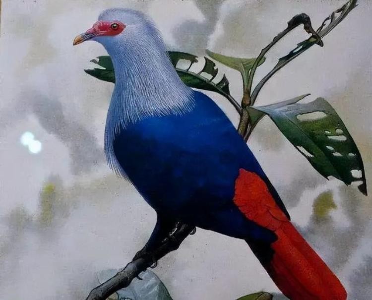 18世纪灭绝的动物,已灭绝的动物留下的珍贵影像