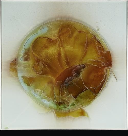 世界十大最震撼错觉(他花了40年用几何错觉艺术)(22)