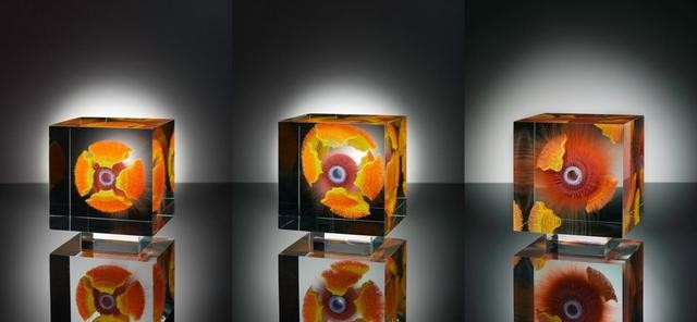 世界十大最震撼错觉(他花了40年用几何错觉艺术)(14)