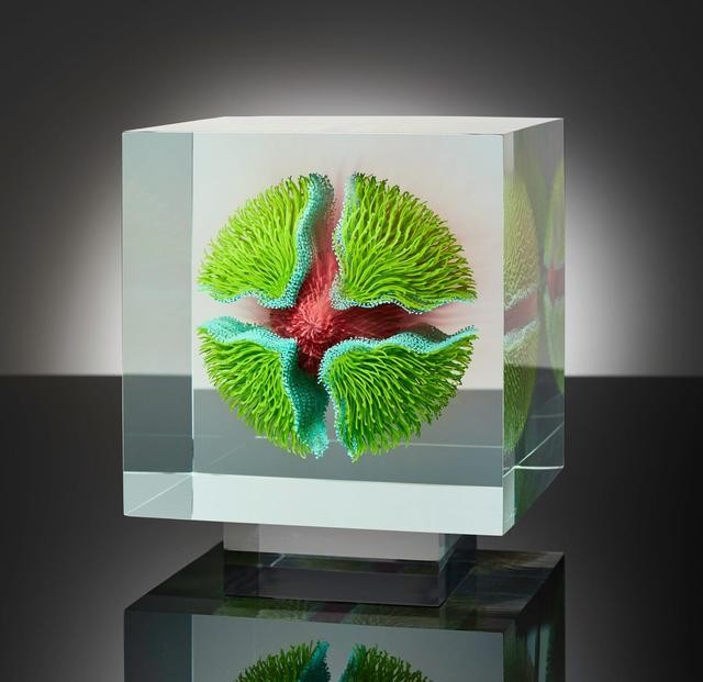 世界十大最震撼错觉(他花了40年用几何错觉艺术)(15)