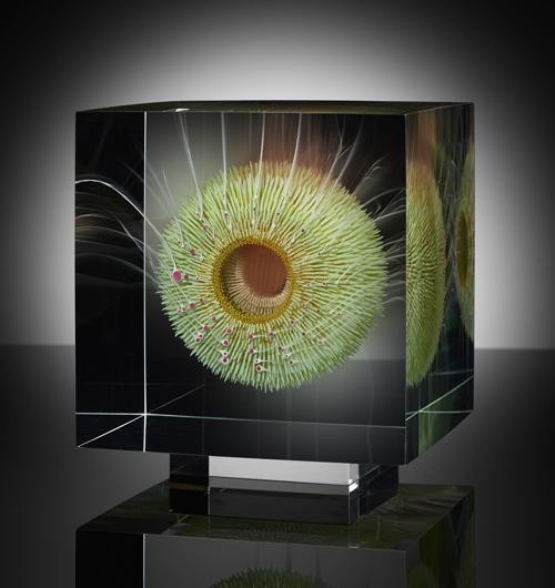 世界十大最震撼错觉(他花了40年用几何错觉艺术)(56)