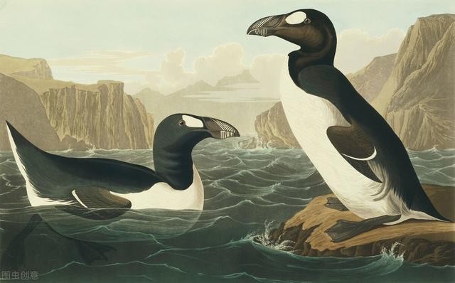 史上有10种灭绝的远古动物(全球十大著名的灭绝动物)(8)