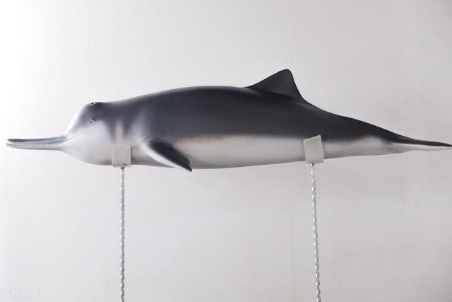 史上有10种灭绝的远古动物(全球十大著名的灭绝动物)(6)