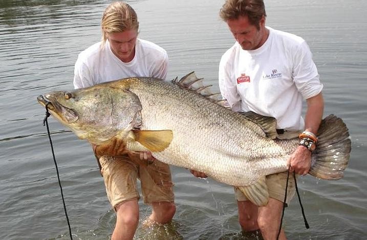 世界十大最凶猛淡水鱼,光是看它们的"面相"和牙齿就已经很吓人