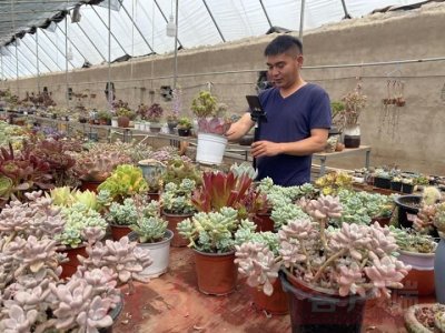 投资千元的农村创业项目,千元小投资创业项目有哪些