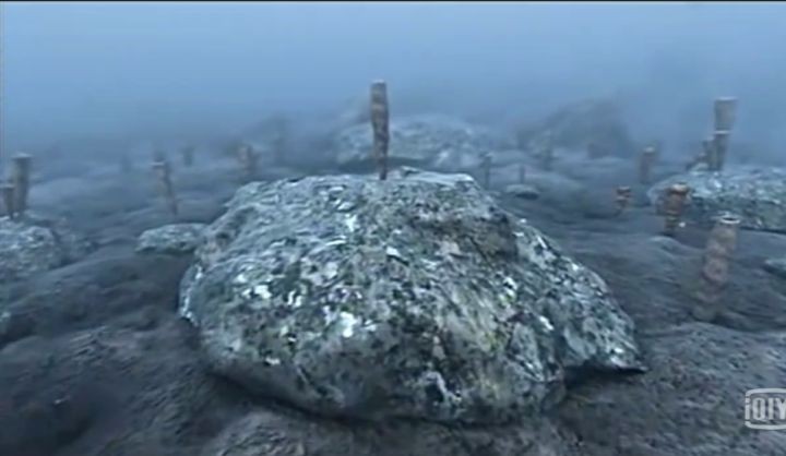 地球生物进化史（一篇文章图解地球四十亿年生命进化史）