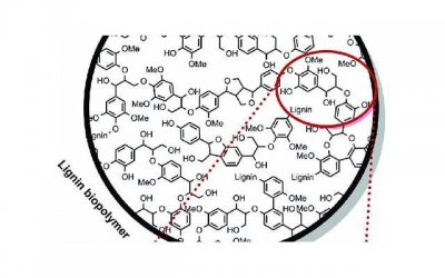 新手怎么画九尾(九尾公主怎么画)