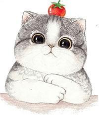 《May It Be》一首让世界一起感动的歌,只听一句,心就彻底沦陷!