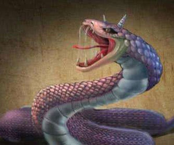 山东真实的蛇化龙的事 很有灵心,要心生敬畏