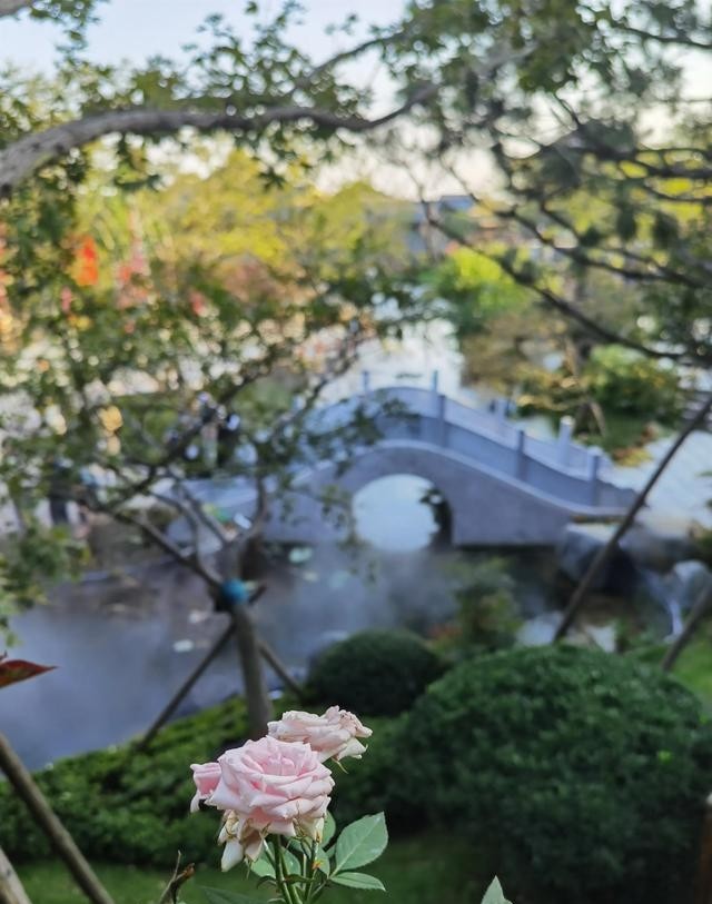 阿朵花屿小镇介绍(阿朵花屿小镇门票) 阿朵 花屿 第8张 阿朵花屿小镇介绍(阿朵花屿小镇门票) 阿朵 花屿 第8张