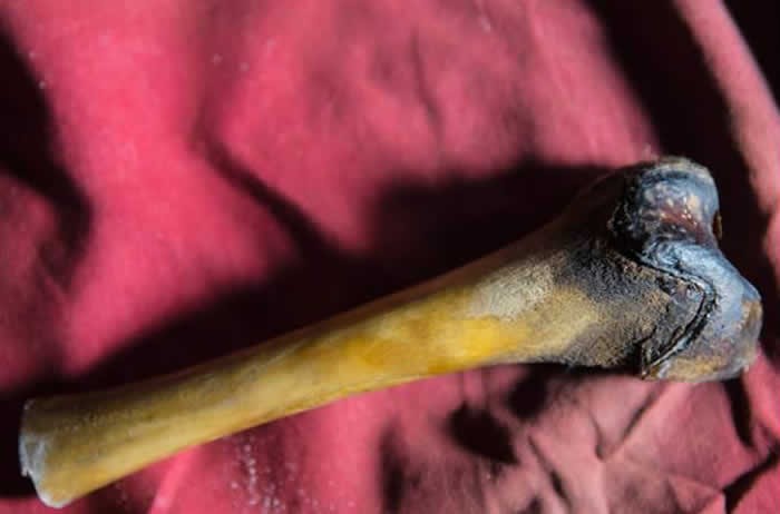 喜马拉雅山雪人是行迹鬼祟的高大半人生物,充满神秘色彩,图为疑似找到的骨骸。