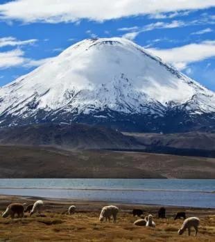 世界上最大的火山爆发排行榜(世界上最大的活火山)-图4 世界上最大的火山爆发排行榜(世界上最大的活火山)-图4
