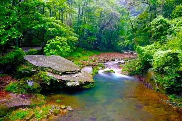 小编为您总结了来张家界的最强攻略