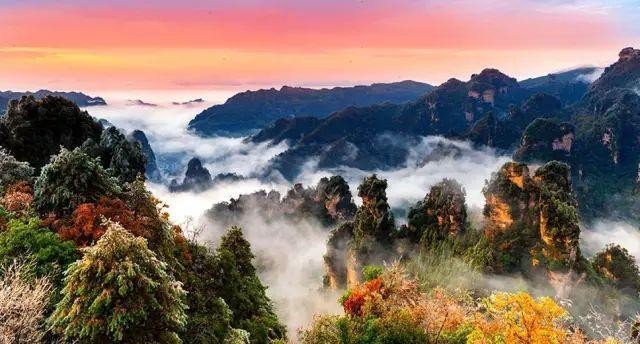 小编为您总结了来张家界的最强攻略