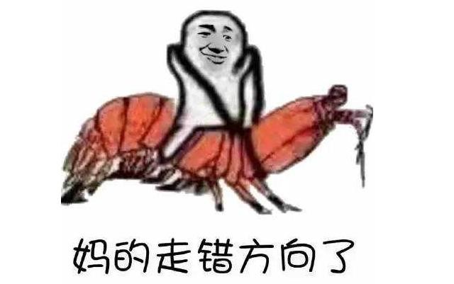 皮皮虾中你想让我这样看吗表情包(最近很火的皮皮虾我们走是什么梗)(2)