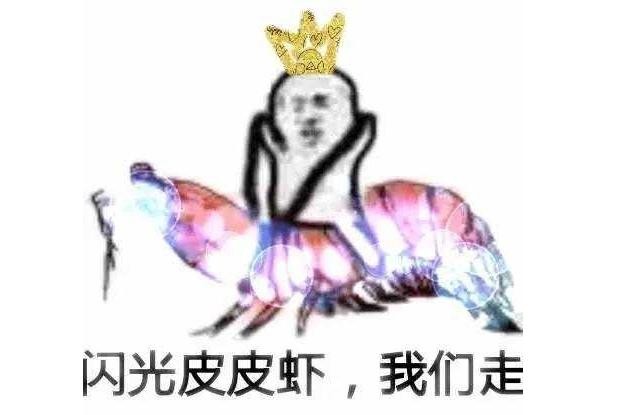 皮皮虾中你想让我这样看吗表情包(最近很火的皮皮虾我们走是什么梗)(16)