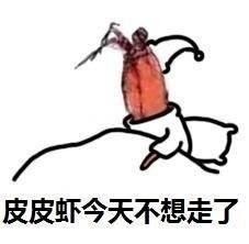 皮皮虾中你想让我这样看吗表情包(最近很火的皮皮虾我们走是什么梗)(9)