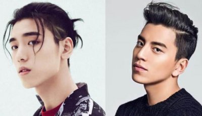 王子异家(王子异家境如何是富二代吗)