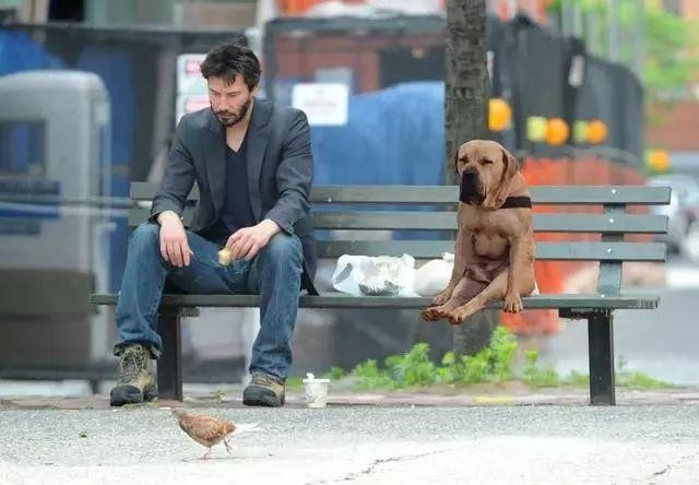 好莱坞最丧男星：拥有几辈子花不完的财富，却只愿活成流浪汉