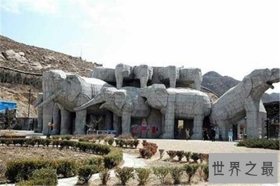 中国十大人气动物园排行榜,北京动物园的历史竟然这么悠久!