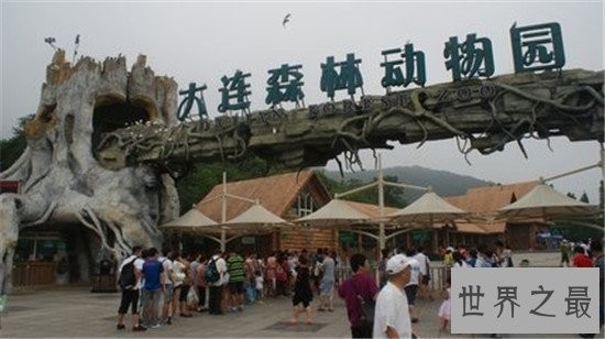 中国十大人气动物园排行榜,北京动物园的历史竟然这么悠久!
