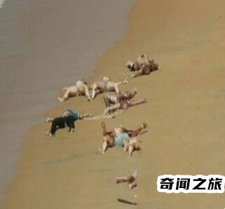 巨人观恐怖照片儿(巨人观可怕不)(1)_