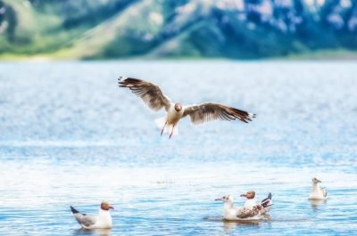 如何处理感情问题,把冷淡的感情变甜蜜