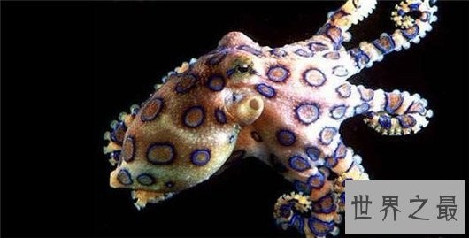 世界上最恐怖的动物,长相怪异噬人血肉